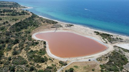 Hem kalp şeklinde hem de pembe: Rengi değişmeden yetişin!