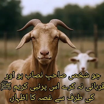 جو شخص صاحبِ نصاب ہو اور قربانی نہ کرے اس پرنبی کریم ﷺ کی طرف سے غصہ کا اظہار