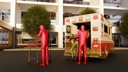 Hyatt Walkway Collapse