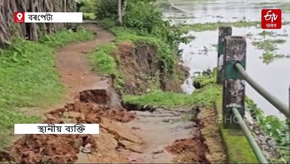 অস্তিত্বৰ সংকটত বাঘবৰৰ এখন ঐতিহাসিক সত্ৰ: ব্ৰহ্মপুত্ৰত জাহ যোৱাৰ উপক্ৰম