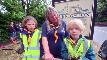 Albrighton Scouts plant up the village.