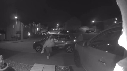 Doorbell Camera Captures Girl as She Falls Down Step