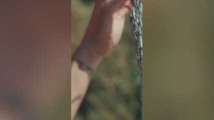 Esto no guastará nada al madridismo: vean quién sale en el vídeo de la nueva camiseta del Benfica
