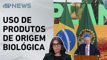 Mariana Grilli: Governo avalia incluir bioinsumos no Plano Safra