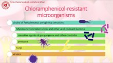 Chloramphenicol-resistant microorganisms