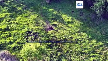 La contraofensiva ucraniana con drones destruye 40 aviones rusos