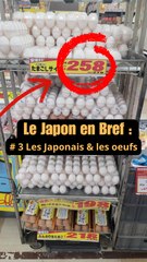 Les Œufs 🥚 #3 Le Japon 🇯🇵 en Bref