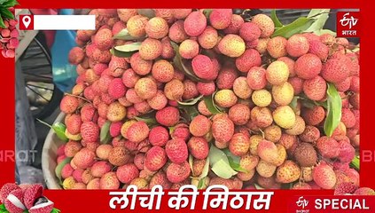 GI टैग से बढ़ी रामनगर की लीची की मिठास, अब नॉन वोवन बैग्स ने स्वाद के साथ बढ़ाया उत्पादन