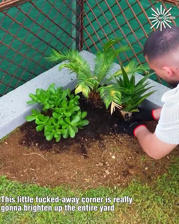 Elevate your garden with this simple DIY plant corner🌱🌿