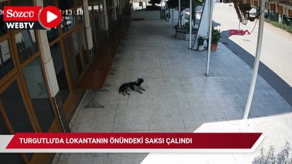 Turgutlu'da lokantanın önündeki saksı çalındı; o anlar kamerada