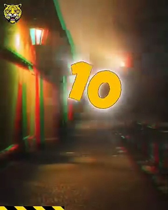 24 Moments Of Animals Dare To Attack Other Animals Fiercely Caught On Camera 🦄vs🐕