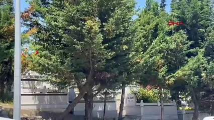 Mezarlığa bırakılan bebek cesedinin sırrı çözüldü