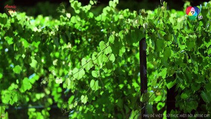 CÔ DÂU BỊ CÁO | JAO SAO JUM LOEY | EP03 [1/3]