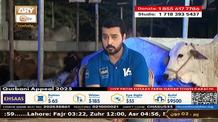 Ehsaas Telethon - Qurbani Appeal - 2 June 2025 - Part 1 - ARY Qtv