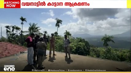 വയനാട് പൊഴുതന മേൽമുറിയിൽ കാട്ടാനയാക്രമണം; വായോധികന് പരിക്ക്