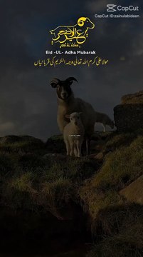 Do Qurbaniyan - Sunnat-e-Rasool ﷺ aur Mola Ali ka Amal | دو قربانیاں - سنتِ رسول ﷺ اور مولا علی کا عملHashtags:#DoQurbaniyan #HazratAli #SunnatEQurbani #MolaAliKaramAllahWajhu #ProphetSunnah #EidUlAdha #IslamicVideo #EmotionalIslamicClip