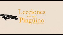 The Penguin Lessons | Trailer
