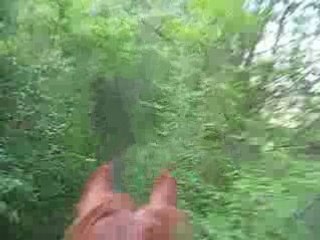 Kahlia galop sur le petit chemin