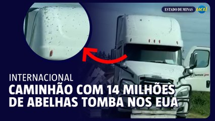 Caminhão com 14 milhões de abelhas tomba nos EUA
