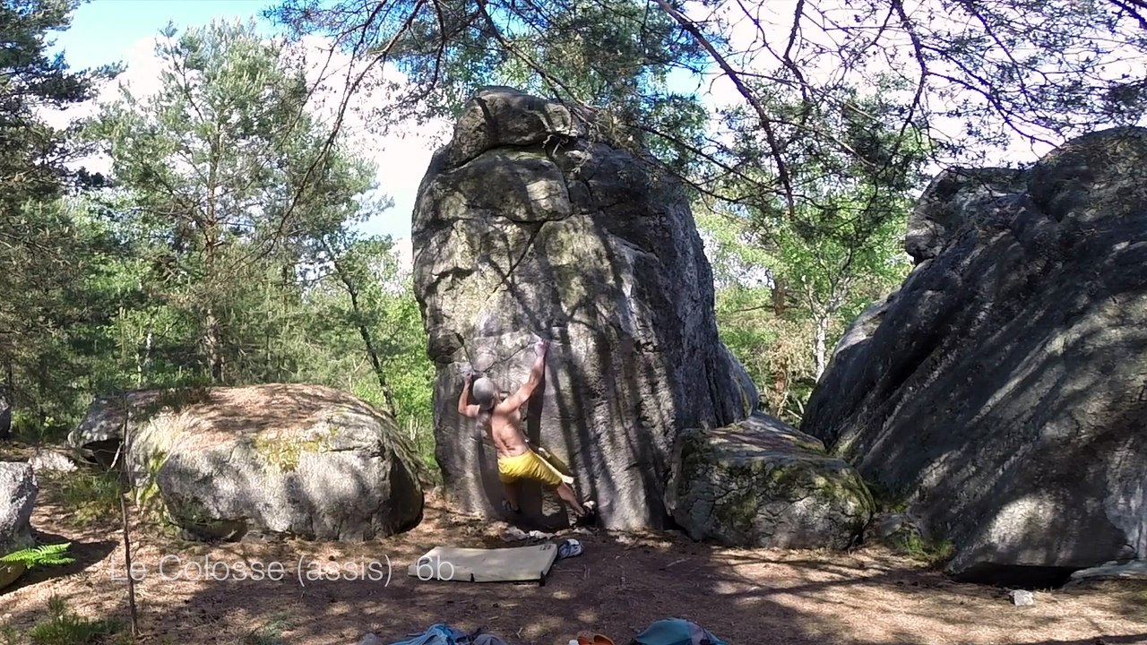 Bleau - Le Colosse (assis)