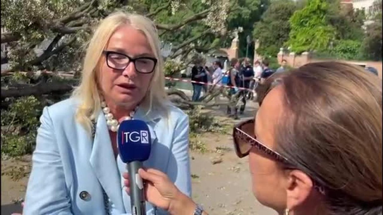 Albero caduto a Venezia, l'assessore Zaccariotto: «Subito accertamenti»