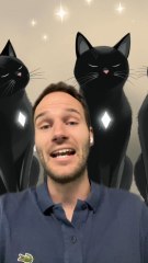 Un CHAT noir MAGNIFIQUE
