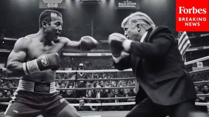 Josh Gottheimer Asked About New Jersey Gubernatorial Campaign Ad Showing Him Boxing Trump