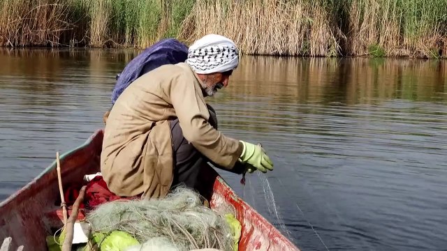 En Irak, la prospection pétrolière menace les mythiques marais mésopotamiens