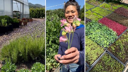 A Guided Tour of the French Laundry Garden
