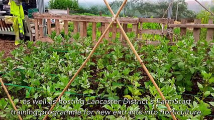 North Lancashire's Gold Sustainable Food Places bid