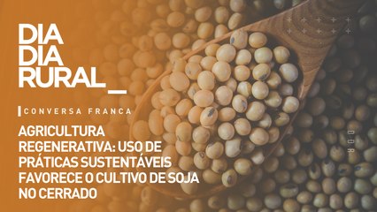 Agricultura regenerativa: uso de práticas sustentáveis favorece o cultivo da soja no cerrado