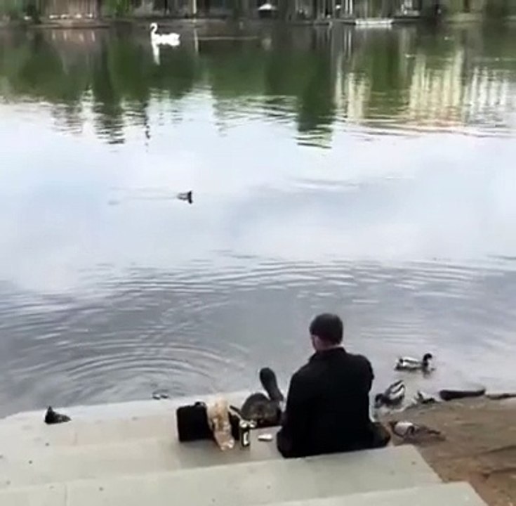 Lui il a de vrais amis...