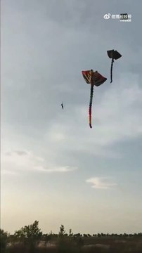 Il se retrouve piégé dans les airs accroché à son cerf-volant