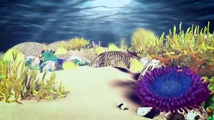 O branqueamento dos corais