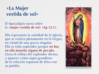 DM-AM Virgen de la Inmaculada Concepcion