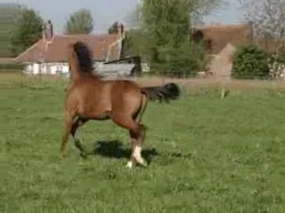 6 mai 2008 004