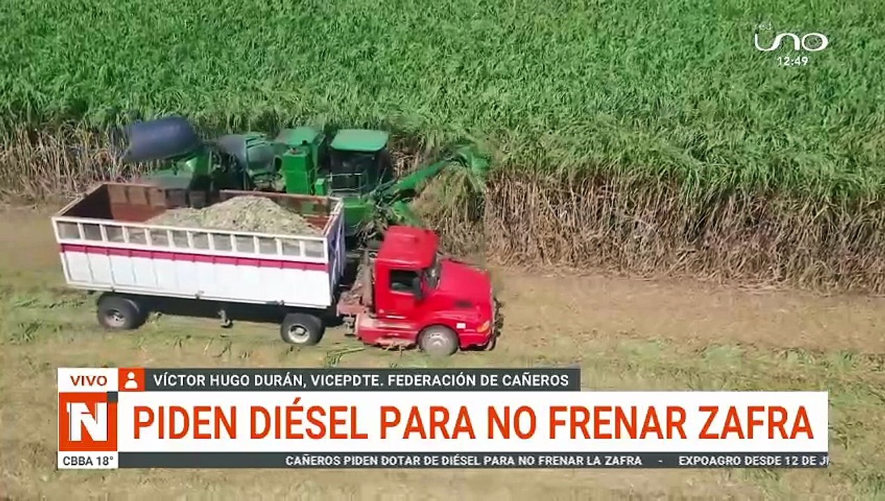 Temen perjuicio a la zafra