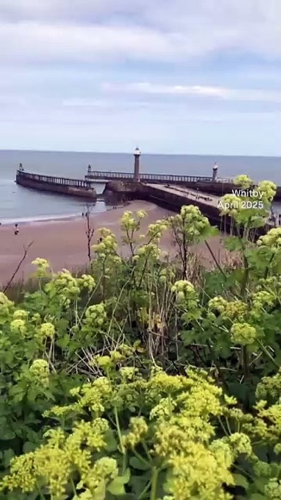 Whitby April 2025 Folge 06