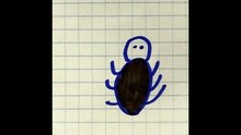 Ragno colorato disegno 5