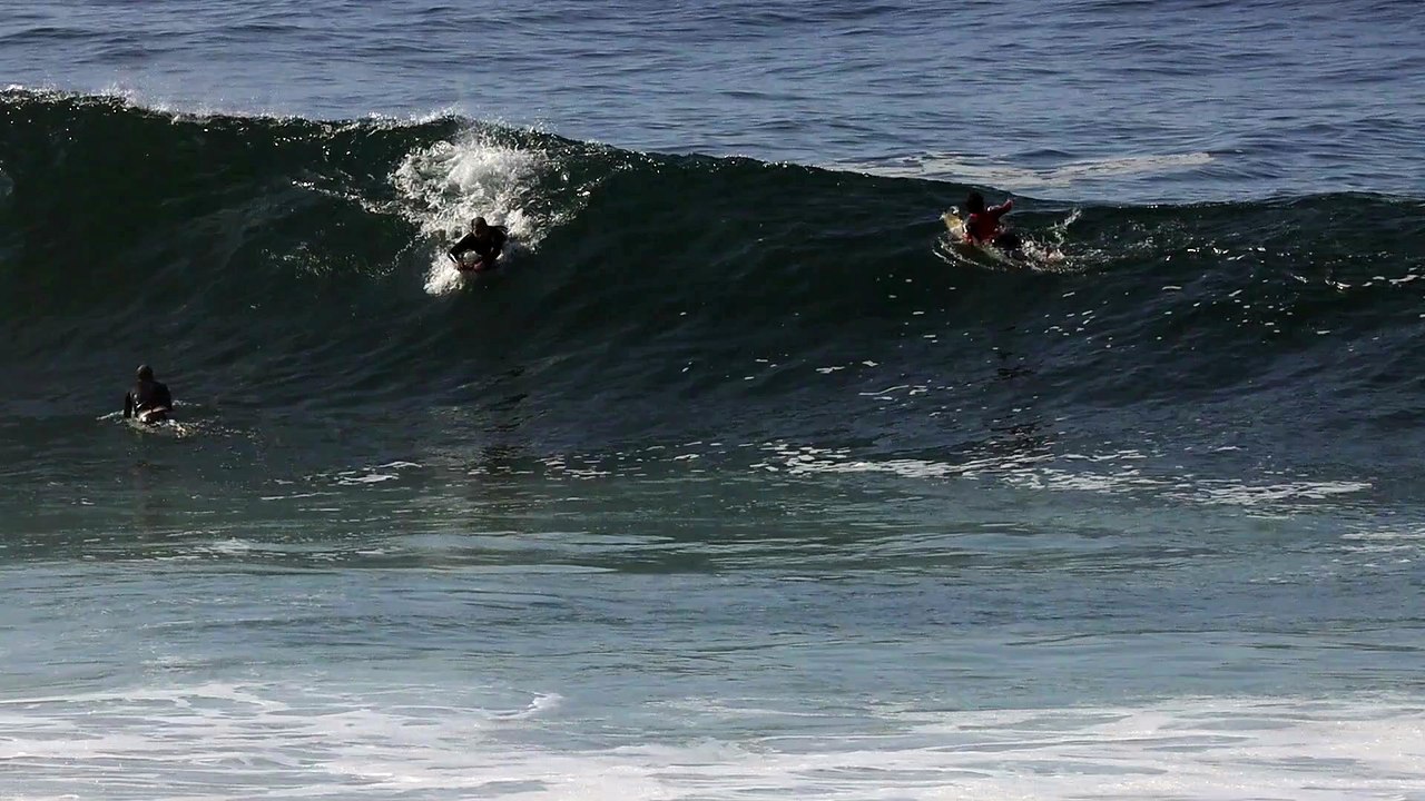 Aruanã Cavalleiro