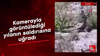 Elazığ'da kamerayla görüntülediği yılanın saldırısına uğradı