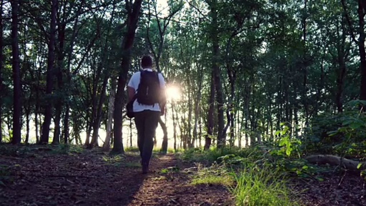 marcus aurelius I quotes I motivation I stoic I quote I inspire I stressrelief
