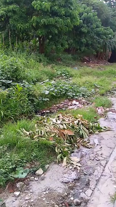 Denuncias HOY: Falta de asfaltado y contaminación azotan calles en Buena Vista, Villa Mella
