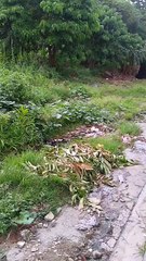 Denuncias HOY: Falta de asfaltado y contaminación azotan calles en Buena Vista, Villa Mella