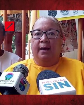 Juntas de vecinos reclaman detener paso vehículos pesados por sus calles