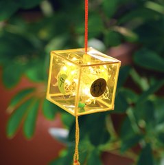 Turn Simple Materials into a Beautiful Lantern! 🏮