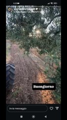 Michele monopoli si lavora