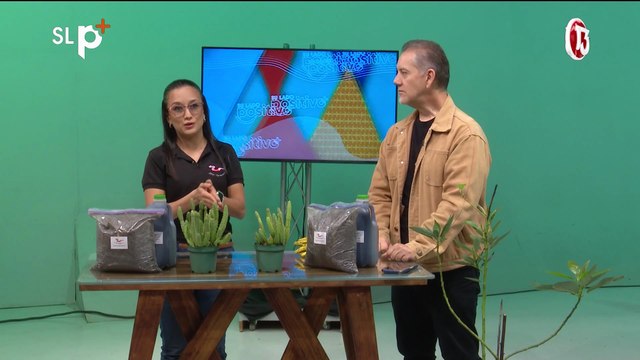 ENTREVISTA 02 JUNIO CUANDO SE PUDREN LAS RAICES DE LAS PLANTAS