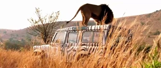 Prey Full Movie 🎬