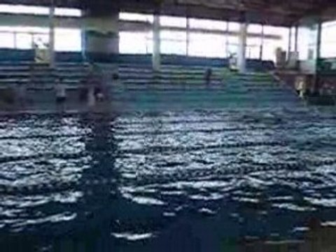 Natation Triathlon Pontault Combault, Mai 2008